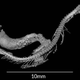 Imagen para el artículo titulado Descubren el primer fósil conocido de serpiente de la era de los dinosaurios en un terrón de ámbar